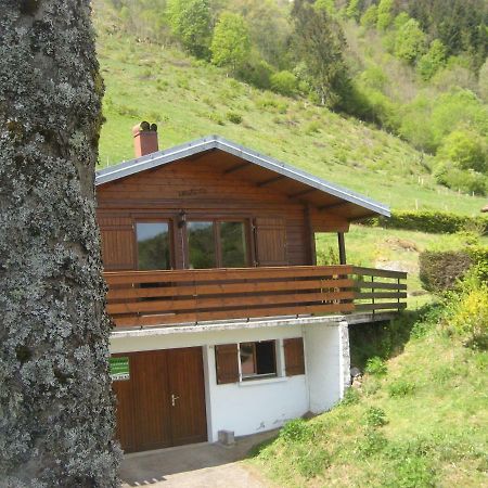 Chalet Les Jonquilles La Bresse Bagian luar foto