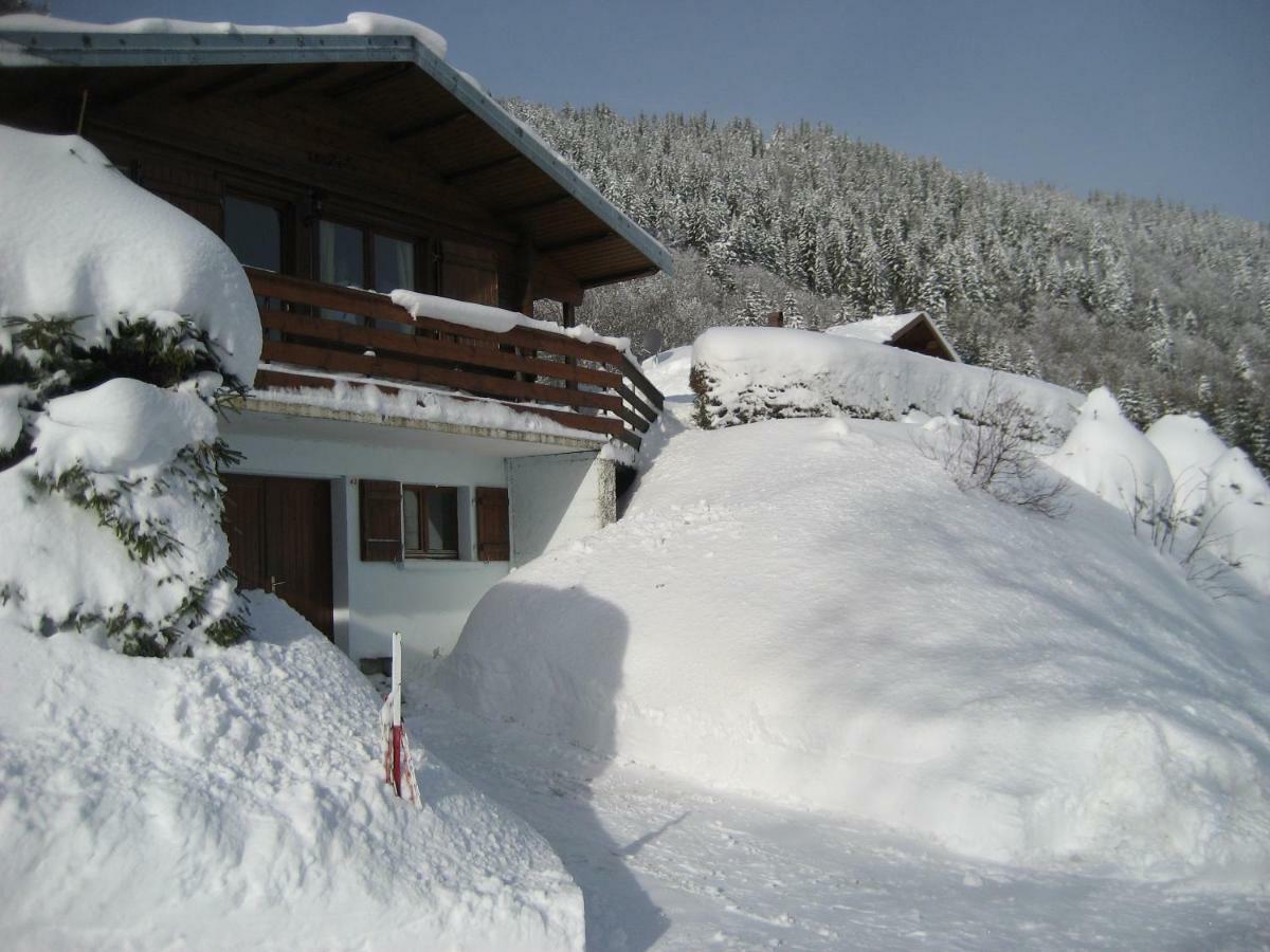 Chalet Les Jonquilles La Bresse Bagian luar foto